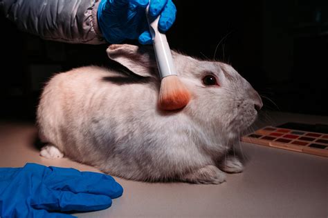 How is animal testing brutal?